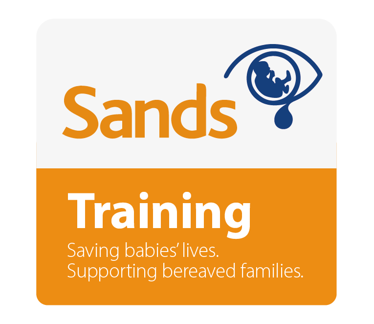 Sands Training Logo