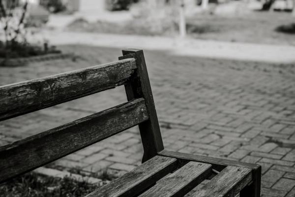 Empty Bench Image